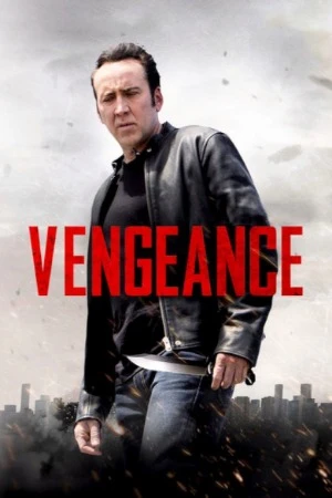 Vengeance: A Love Story 2017 Hindi Dual Audio WEB-DL 720p - 480p - 1080p